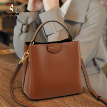 Woodpecker bag 2021 new tide fashion bucket bag Joker slung handbag shoulder slung women's bag 2022