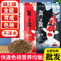 Jinshang Jin koi feed color color Poplar body fattening small particles large particles fish feed fish food fish food Special