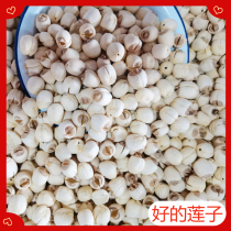 Good lotus seeds 1kg 500g dry goods Deng Bizhen snacks ingredients lotus seed pig belly soup bulk agricultural sideline weighing Jin