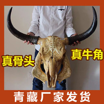 Cow skull crafts cow skull specimen cow head decoration wall hanging cow head ornaments sheep skull specimen cow head pendant