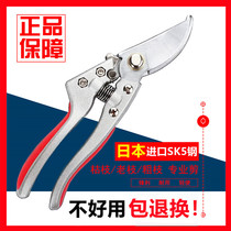 Original Japanese imported SK5 steel scissors pruning shears fruit tree scissors flower scissors branches pruning saplings rough shears pliers