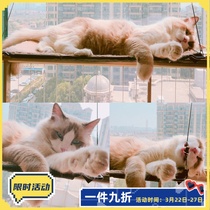 American KH Cat Hammock Cot Window Nest Pet Supplies Kitty Cat Hammock Bed Glass Suction Cup Sun-breathable Cat Nest