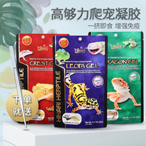 High enough force imported climbing pet gel feed insect formula BAO WEN Shougong fruit PUREE MANED LION ciliary horn R genus lizard FOOD