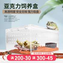 Reptilian feeding box acrylic crawl box high light-transmitting mane lion guard Palace toy snake horned frog anti-escape turtle tank