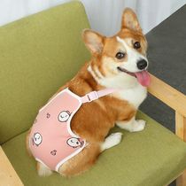 Pet dog health pants bitch female dog aunt pants Big Aunt menstruation Corky Teddy special anti-mating artifact