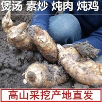 Fresh Gastrodia elata wild fresh Gastrodia elata winter hemp non-Yunnan Zhaotong fresh Tianma shoot three catties and four catties