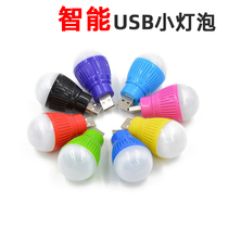 Batch of portable led led small night light lighting lamp with creative energy saving USB small light bulb can be connected with mobile power