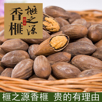 2021 the source of the big seed new Reya Torreya Zhuji Fengqiao Torreya net content 500g nut snack specialty