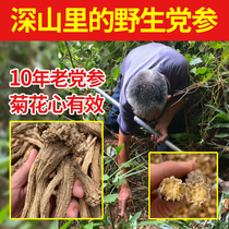 Deep mountain pure wild Codonopsis 500g super-grade Chinese herbal medicine road Luwen sulfur-free slice powder dry three angelica astragalus Gansu