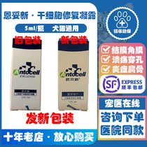 Ntoxin Stem Cell Eye Drops Repair And Dew Pet Cornea Repair Kitty Corneal Ulcer Dog Corneal Perforation