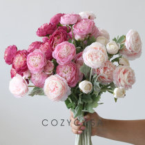 Clear Soup Bedroom Fruits Living Room Decorations Hem flower bouquet emulation Flower Lilian new indoor small peony Candido Flower Flower