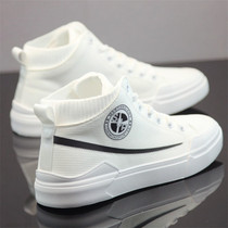 2022 Spring Autumn Breathable Sail Cloth Shoes Mens Casual Sports Tide Shoes High Help 100 Lap Lace Board Shoes For Little White Shoes Man