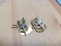 British SAS collar badge original badge survival training NO2 identification mark