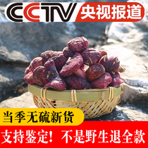 Zhengzong Vertebral Fungus Guangxi Pubei Zhengzang Red Mushroom Moon Mushrooms Dried Goods Red Mushrooms Wild Special-Grade Blue Bottom Red Fungus Placenta