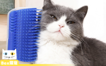 (120% Recommended) Wall Corner Instrumental Scrub Hair Grinding Claw Feline Cat Toy Massage With Cat Mint