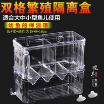 Guppy breeding box Fish tank isolation incubation box Tropical fish small fish special size isolation box incubation spawning room