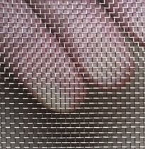 2021 block and anti-mouse sand mesh screen screen door mesh wire anti-mosquito insect stainless steel anti-cat home