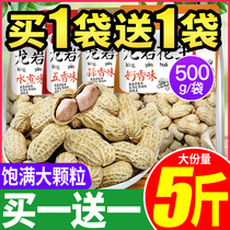 Bibizan Longyan peanuts boiled with shell spiced garlic peanuts raw rice cooked multi-flavored snacks Snacks fried food Leisure