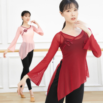 2021 summer classical dance practice suit female Chinese style dance suit National body rhyme yarn dress Elegant fairy dance top