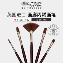 Windsor Newton Import Gallery Acrylic Pigment Brush Set Professional Painting Wall Painting diy Hand Painting Beginners Special Single
