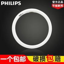 philips ring tube tl5c round tube T5T8 three primary colors 22 ring tube round 55w four pins