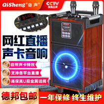 Qusheng Net red outdoor live broadcast K song audio square dance speaker three-frequency high-power singing lever mobile performance comes with sound card Bluetooth portable home professional wooden heavy bass