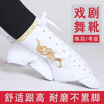 Gui dance dance boots female long tube Mongolian leather boots Xinjiang dancing shoes male Tibetan drama performance high-help jazz shoes