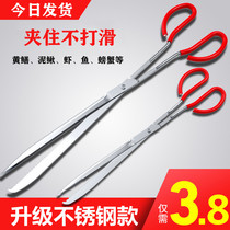 Stainless steel eel clip Eel clip Loach crab pliers Non-slip anti-off catch special tools Catch Poseidon