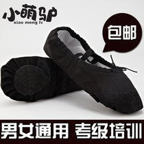 Dance shoes children boys black and white soft bottom practice shoes mens body dancing mens cat claw shoes adult ballet shoes