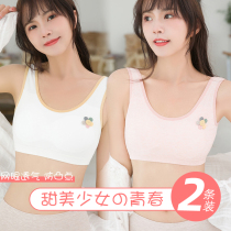 Developmental puberty vest underwear female high school junior high school student girl Middle School student wearing girl bra summer SN