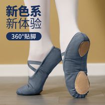 Dance shoes female soft-soled summer free lace-up cat paw professional ballet dance practice body Chinese adult classical teacher