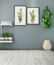 9 live background cloth 3d Solid decoration wall anchor atmosphere Nordic wind net red Taobao clothing minimalist photo-ins