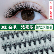 Plant Poetry Net Red 30 Own Grafted hair Single cluster ultra-soft Buffy mink False Eyelash Thick natural mucus