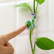  Green Luo green plant climbing wall fixing artifact incognito household buckle climbing indoor vine plant wall hook fixing clip