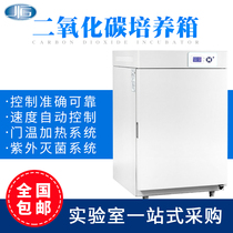 Shanghai Yiheng BPN-50CH carbon dioxide incubator Cell culture box Bacterial microbial incubator