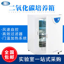 Shanghai one constant carbon dioxide incubator BPN80CRH(UV) professional grade microbial cell bacterial incubator