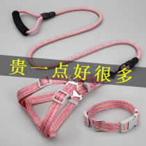 Dog leash Teddy golden retriever dog chain small dog dog walking rope collar chest strap pet supplies