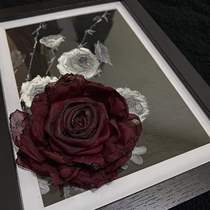 Solivagant Diablo-Black Self-made Self-Designed Calcined Rose Rose Breath Needle Brast Film