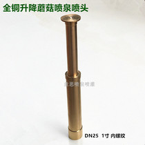 1 inch 2 inch full copper automatic lifting trumpet flower mushroom nozzle pool courtyard rockery fountain nozzle water landscape