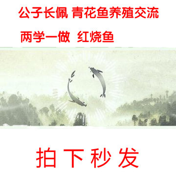 [秒发]公子长佩 青花鱼养殖交流 两学一做烹饪 红烧青鱼 永久独享