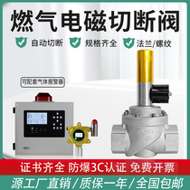 Natural gas electromagnetic cut-off valve industrial explosion protection gas emergency cut-off valve gas pipe methane leakage alarm