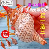 Natural conch horn can blow the horn whistle super large shell whistle childrens toy whistle small snail can blow