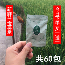 September MOTHERWORT NEW TEA MOTHERWORT Herbal Medicine Conditioning Aunt Urge Menstrual Gas LESS COLOR BLACK BLOOD STASIS BLACK