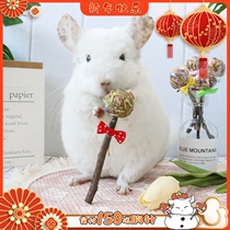 Shopkeeper Handmade Totoro Guinea Pig Rabbit Hamster Molar Grass Cake Apple Branch Timothy Grass Lollipop Snack
