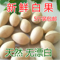 2020 fresh raw Baguio ginkgo fruit 5 pounds packed Pizhou with shell big Buddha Finger Ginkgo kernel Baguio kernel