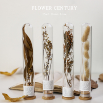 Glass test tube dried flower starry everlasting flower ornaments eucalyptus leaf home decoration specimen dried flower living room decoration