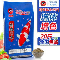 Koi fish feed goldfish general floating granular fish food special breeding non-muddy water color Yang fish food