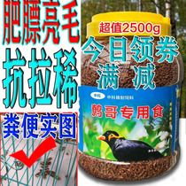 liao ge niao food liao ge niao special feed back from Europe food bright hair fei biao never diarrhea