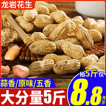 Fujian Longyan peanut with shell fried garlic spiced milk multi-flavored peanut snacks boiled white drying specialty wholesale