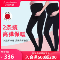 Japanese dog print shop for pregnant women bottoming stockings plus velvet pantyhose
